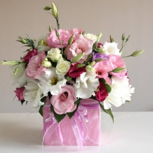  Alanya Blumen - Blumen in der Box