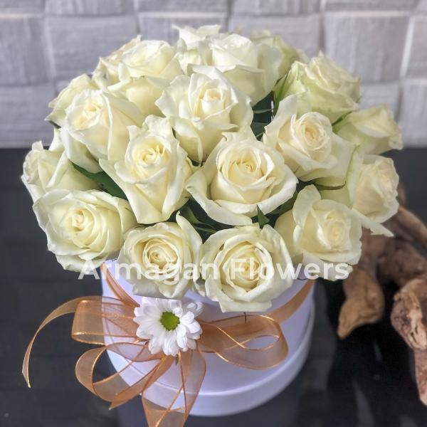 19 White Roses in Box Resim 1