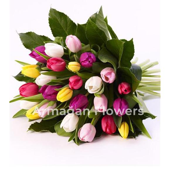  Alanya Flower Delivery 25 Mix Tulips