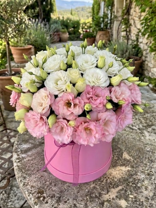  alanya çiçek siparişi - Pink and White Eustoma