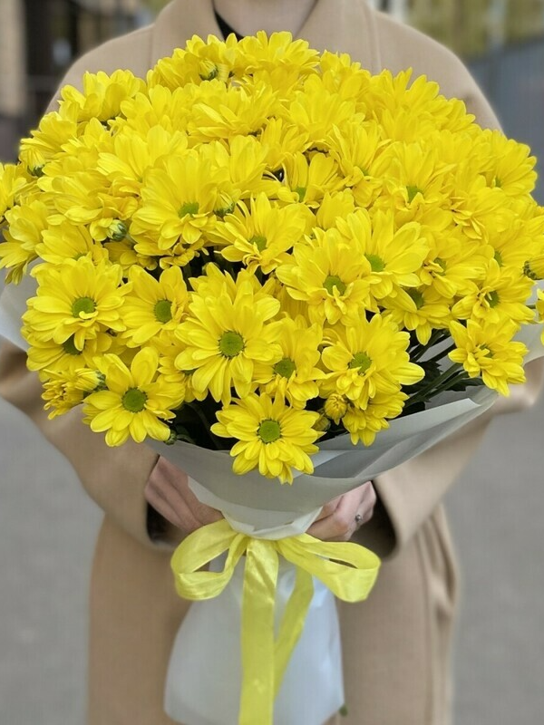 Alanya çiçekçi - Sarı Papatya Buketi