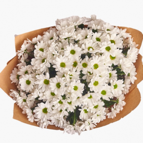 Флорист в Алании Букет белых хризантем
