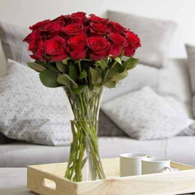 Alanya Florist 19 Red Roses in Vase