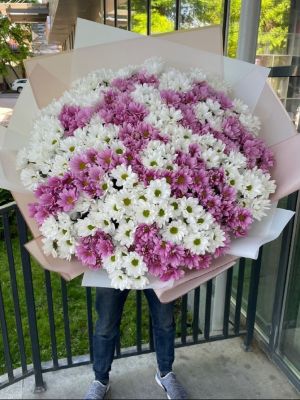 Alanya çiçekçi - Rengarenk Büyük Papatya Buketi