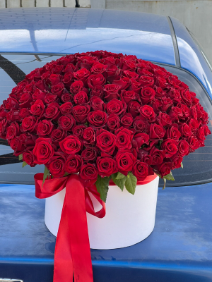  Цветочный магазин Алания - Papatya ve Güller