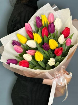  Send flowers Alanya - 35 Mix Tulips