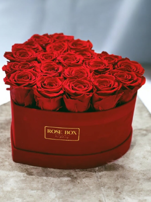  Alanya online çiçek - Kalp Kutuda 19 Güller