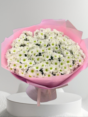  Alanya online çiçek - Büyük Boy Beyaz Papatya Buketi