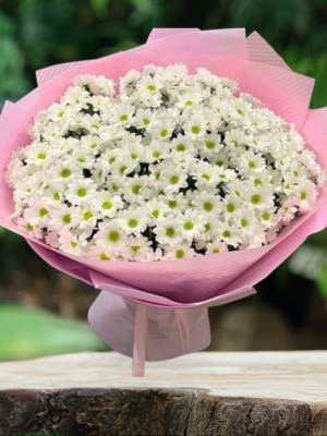 Alanya çiçekçi - Büyük Boy Beyaz Papatya Buketi