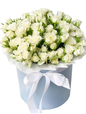 Alanya çiçekçi - Kutuda Minyatür Güller