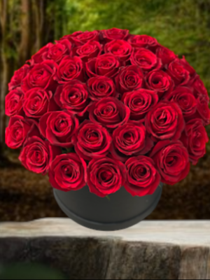  Alanya çiçek gönder - Kutu içinde 41 Kırmızı Gül