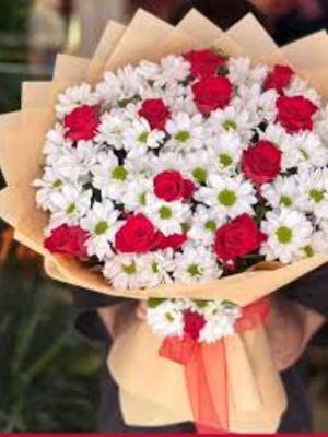 Alanya çiçekçi - 17 Kırmızı Gül Kutuya