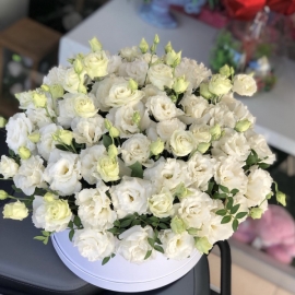 Alanya Florist White Eustoma in Box